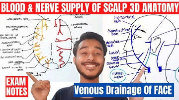 blood and nerve supply of scalp anatomy | venous drainage of head and neck | venous drainage of face