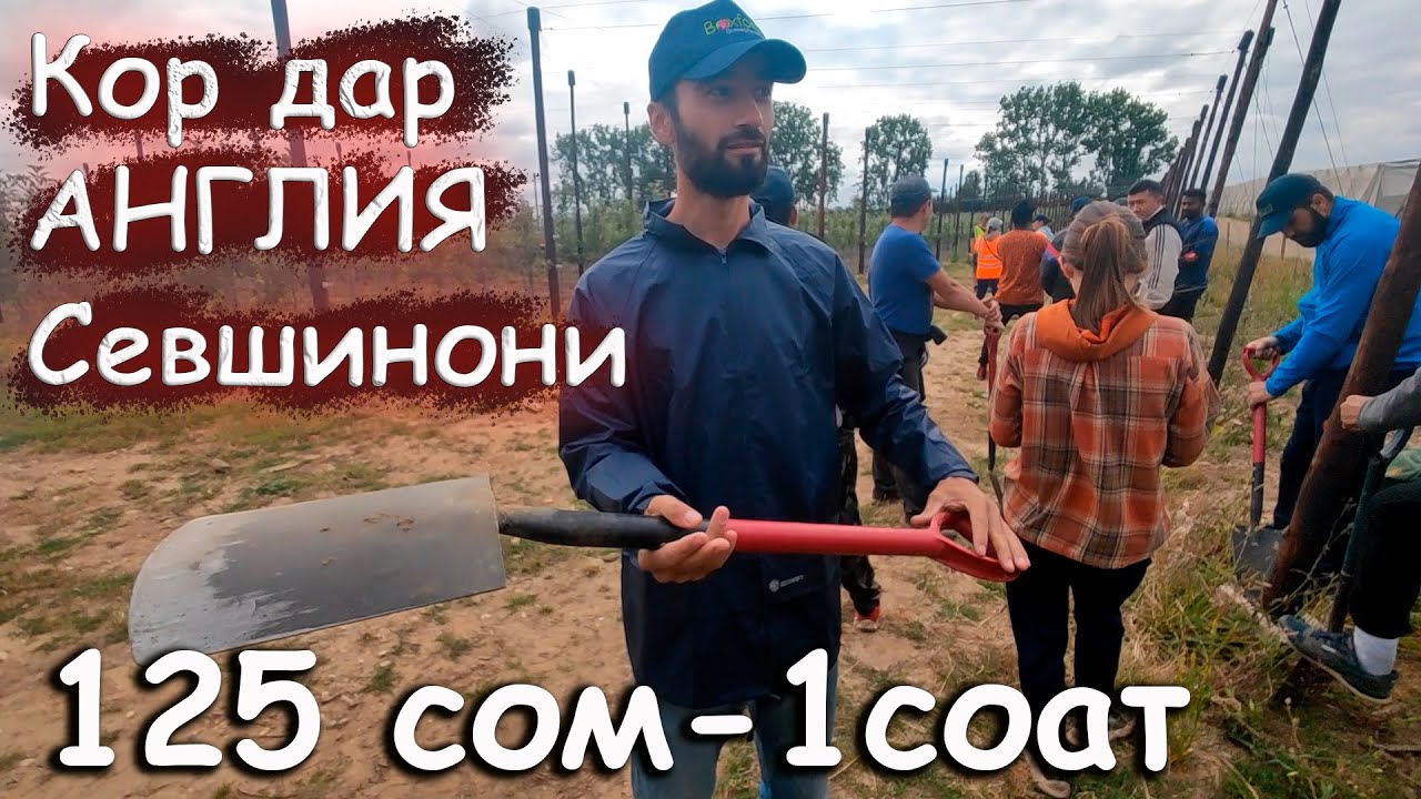 Кор дар Англия Себшинони #sm_vlog