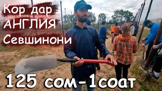 картинка: Кор дар Англия Себшинони #sm_vlog