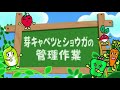趣味の園芸　やさいの時間・選 2017年11月26日 171126 「長く楽しむ　エンドウ三兄弟」
