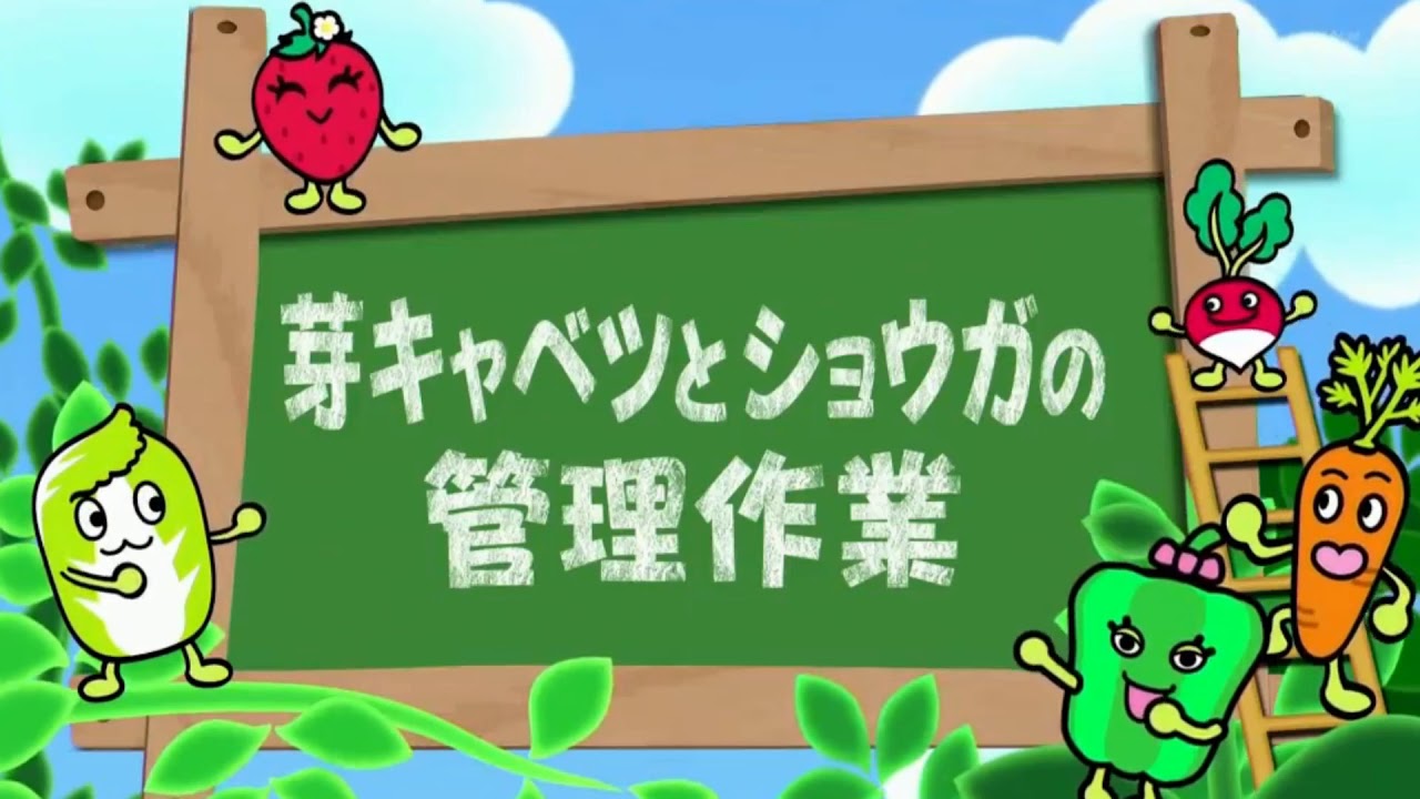 趣味の園芸 やさいの時間 選 17年11月26日 長く楽しむ エンドウ三兄弟 Youtube