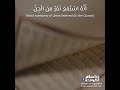 اجمل تلاوة سورة الجن بصوت القارئ اسلام صبحي اجمل تلاوة سورة الجن بصوت القارئ اسلام صبحي