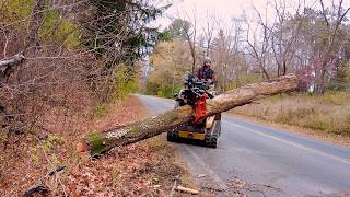 Salvaging and Sawing a Cherry Tree Topped by the Power Company by Matthew Cremona 105,672 views 5 months ago 25 minutes