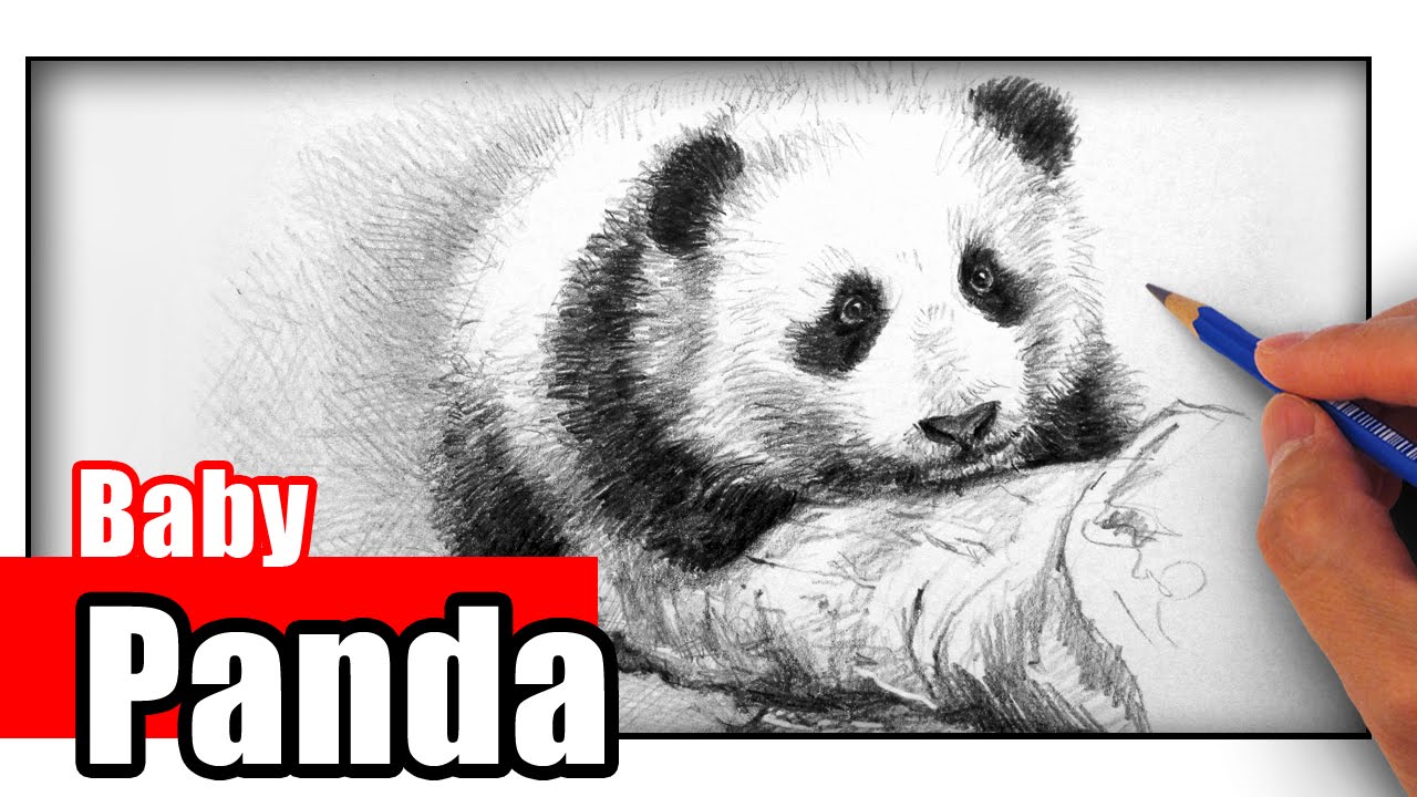 How To Draw A Panda The Easy Way Youtube