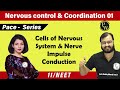 Nervous Control & Coordination 01 | Cells of Nervous System & NerveI Impulse Conduction | 11 | NEET