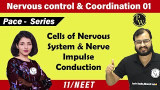 Nervous Control 