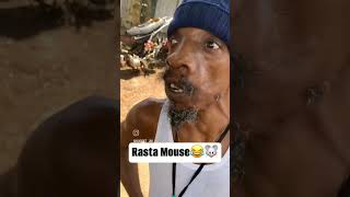 Jamaican rasta Mouse 🇯🇲🤣🐭