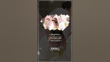🎙️| ماهر المعيقلي • فقرة #تشويقات_رمضانية (الجزء السابع عشر) ما تيسر من سورة يونس.