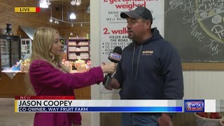 Way Fruit Farm live interview