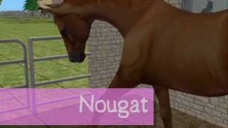 Sims 2 - Poney club