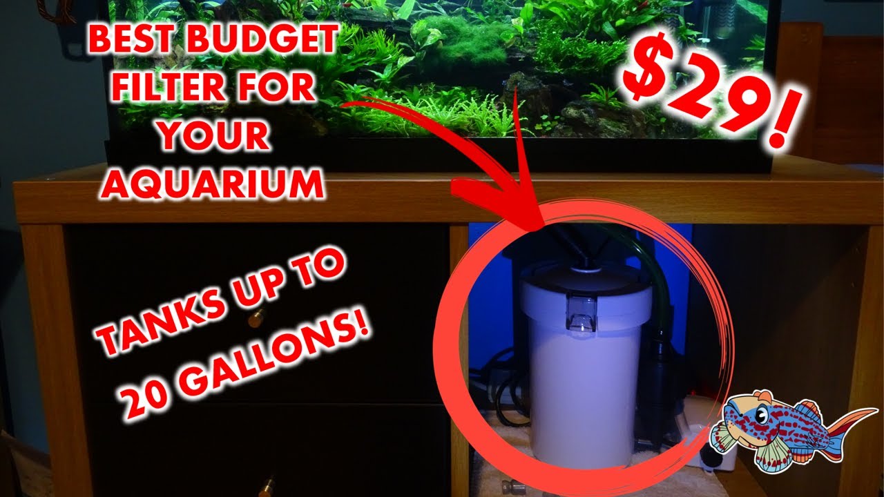 UNBOXING BEST FILTER FOR SMALL AQUARIUMS UP TO 20 GALLONS All pond