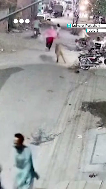 Pet lion attacks woman and children in Pakistan's Lahore