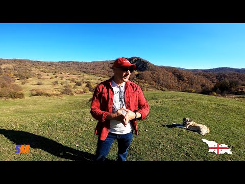 რამდენად მნიშვნელოვანია რომ გვქონდეს მკაფიო ცხოვრებისეული მიზნები (დღის რჩევა #32)