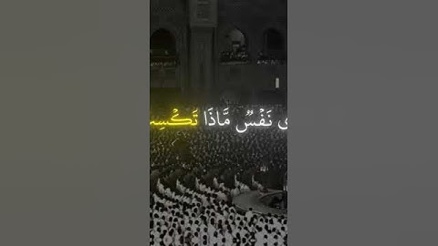 قران كريم بصوت الشيخ ياسر الدوسري #قرآن #اكسبلور #المصحف #duet