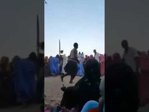  على النيفارة أتحداك ما يعجبك