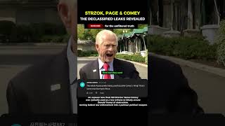 FBI Setup EXPOSED!': Peter Navarro Reveals Declassified Russia Hoax Proof! 🚨 #Shorts