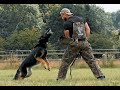 Schutzhund Experience with Alex Lato at Skills2Success