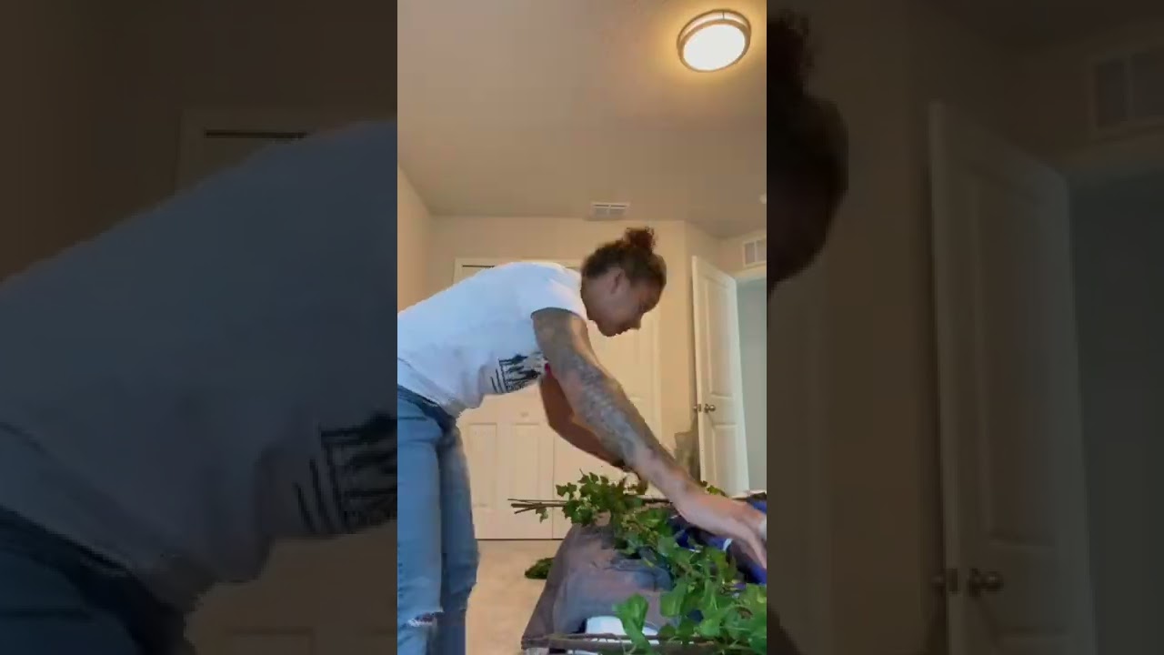 Kids bedroom transformation | Dinosaur bedroom | Interior Design | Home Improvement | Home DIY |