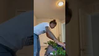 Kids bedroom transformation | Dinosaur bedroom | Interior Design | Home Improvement | Home DIY |