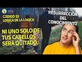 Resurrección del Conocimiento | Código 13