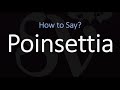 How to Pronounce Poinsettia? (CORRECTLY)