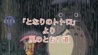 風の通り道　『となりのトトロ』より