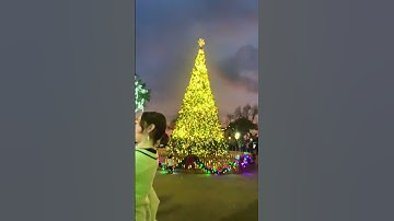 Thumbnail of Christmas Eve at German town Texas lights