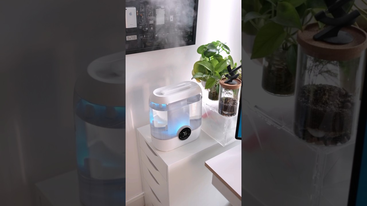 DREO Humidifier HM524S. IG: jsetups