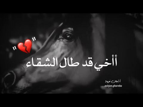 أأخي قد طال الشقاء