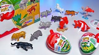 Sea Animals Wild Animals - Lion, Rhino, Elephant, Horse, Tiger, Fish, Black Panther, Seahorse
