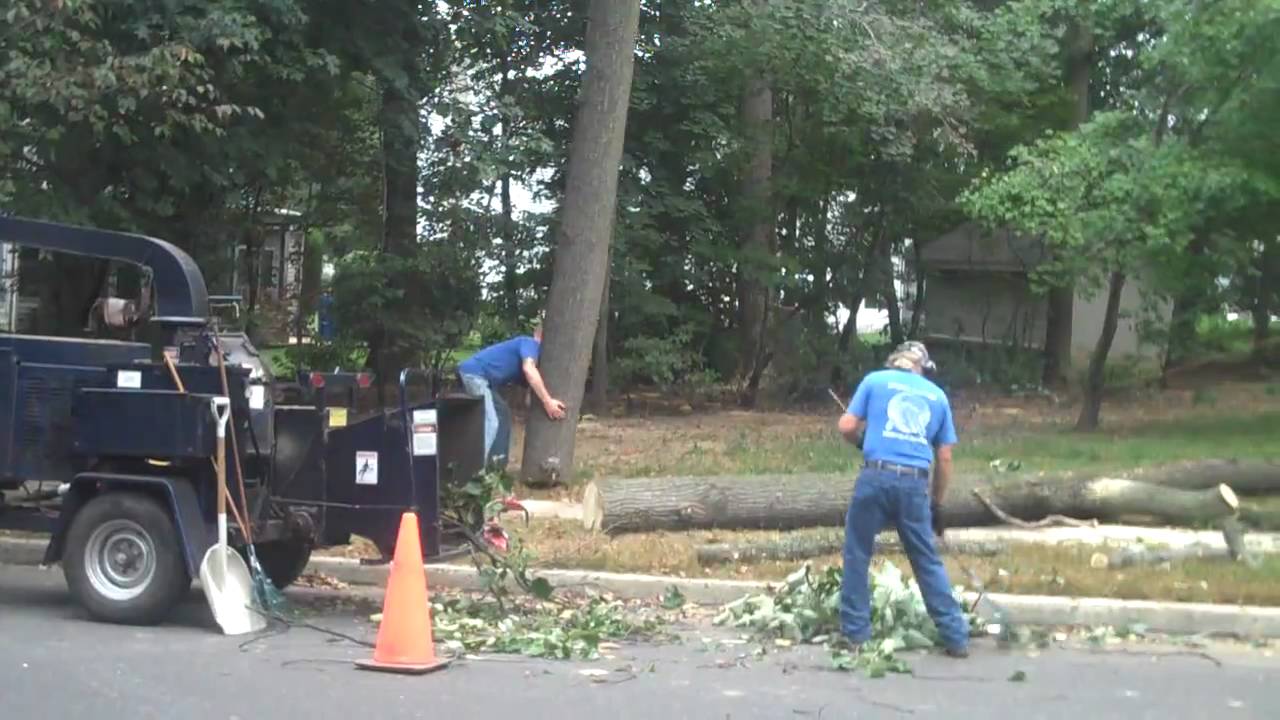 Tree Trimming, Removal; Chris Orser Landscaping; Bucks County, PA - YouTube
