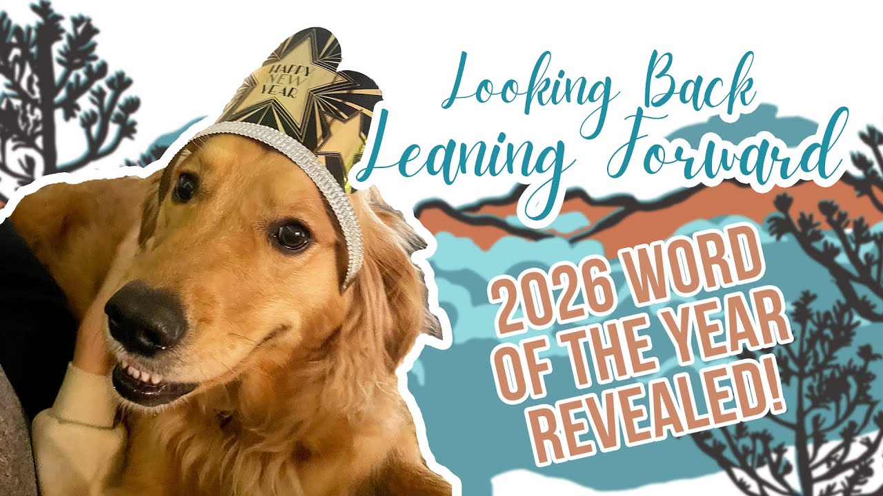 Looking Back, Leaning Forward