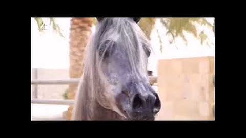 عجييب |عيسى عمر سناكوا | ماتيسر من سورة طه