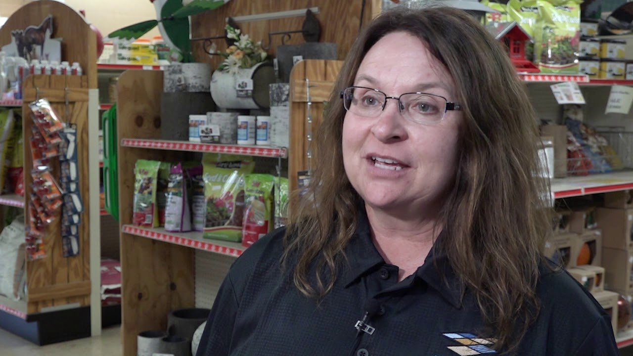 Harvest Land's Greenfield Farm Store YouTube