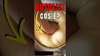 Conosci l’autolisi? Spiegata in 1 minuto #pizza #pizzafattaincasa #impasto