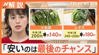 「安いのは最後のチャンス」春の陽気 野菜価格に影響は？ 電気代“ステルス増税”4月使用分から【Nスタ解説】｜TBS NEWS DIG