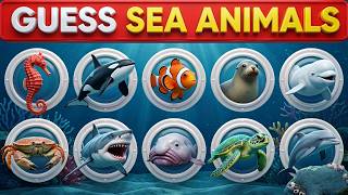 🐬 Can You Guess the Sea Animals in Just 7 Seconds? 🌊 | Easy to Impossible Challenge!