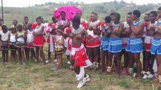 ZULU MAIDENS  BAYEDE NGONYAMA