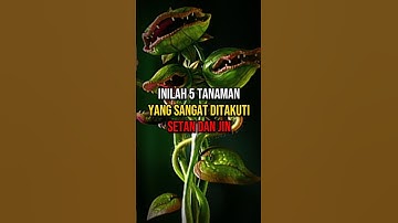 HARUS TAU‼️TERNYATA INI TANAMAN YANG DITAKUTI JIN..👻 #feedshorts #misteri #shortsvideo #faktaunik