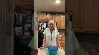 Large Tupperware tortilla keeper.