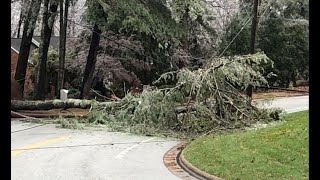 RAW VIDEO: Trees, power lines down after ice hits NC (WFMY)