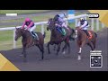 Roger Varian eyes a change of plan with The Lost Sock | Racing TV