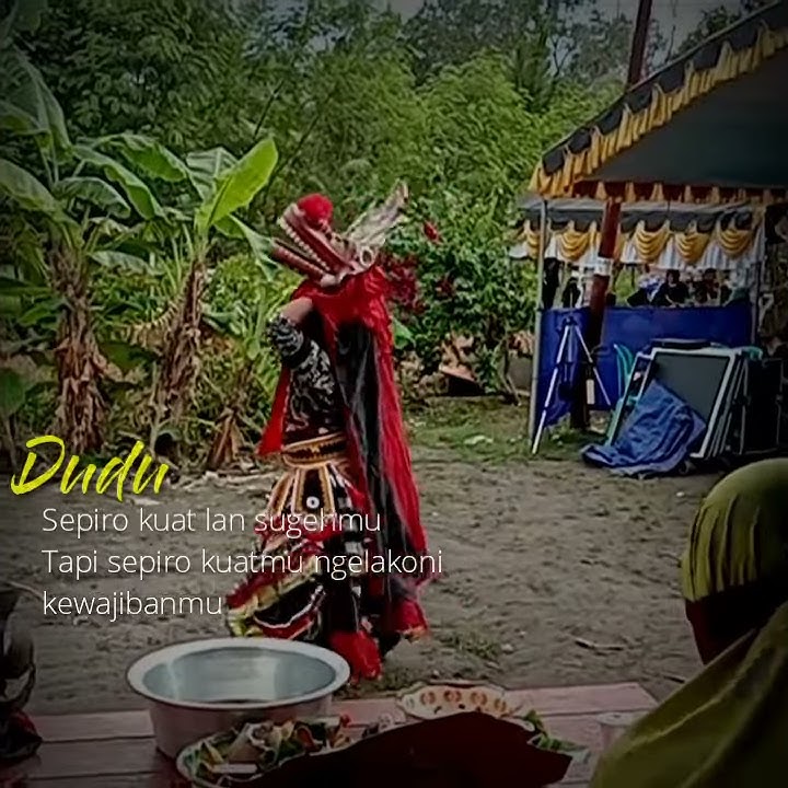 Story Wa Barongan Banyuwangi