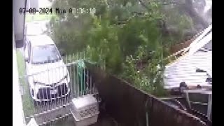 CAUGHT ON CAMERA: Intense video shows moment tree falls onto SE Houston home, trapping 2 men