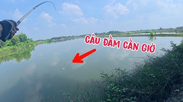 Đầm Thiên Nhiên Cần Giờ Nhiều Loại Cá