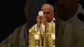 The Roman Catholic Church and The Vatican 🇻🇦 #like #facts #catholic #italy