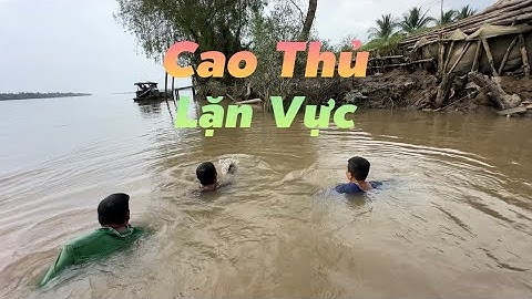 Đẳng Cấp chỉ có cao thủ mới bắt được những con tôm ở Vực Sâu như thế này | Cù Lao Dung Vlogs