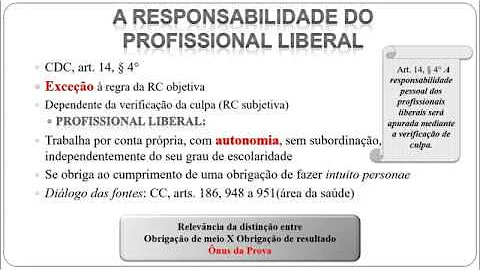 Como se dá a responsabilidade dos profissionais liberais?