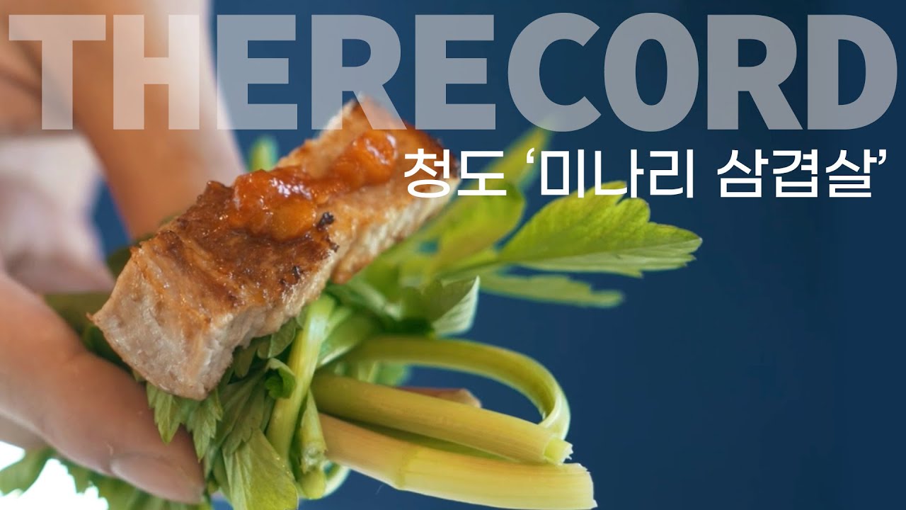 [The Record] 대한민국 미식생활, 농경의 도시 경북 청도의 한재 미나리! 향긋한 미나리삼겹살 어떠세요!? fragrant water parsley pork belly