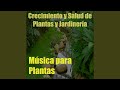 Música para Plantas, Vol. 4 (Crecimiento y Salud de Plantas y Jardinería)